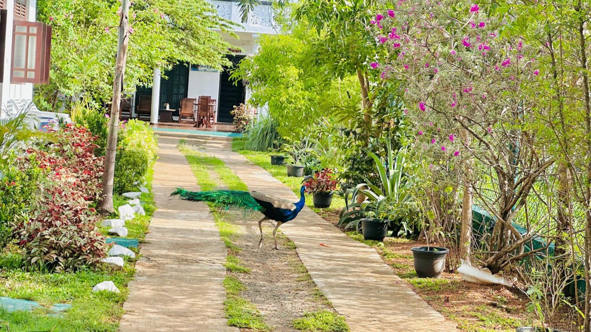 New Peacock Resort Dambulla Exterior foto